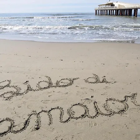 Amazing In With Kitchen