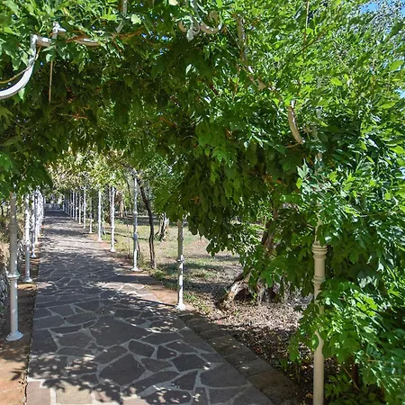 Semesterbostad Amazing In With Kitchen *